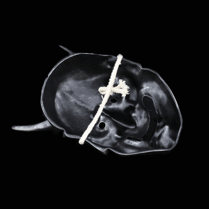 Hand-Made Japanese Hannya 凛凛蝶 Resin Oni Mask